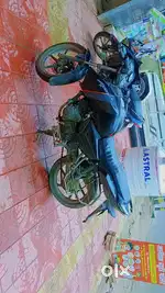 2015 model hai