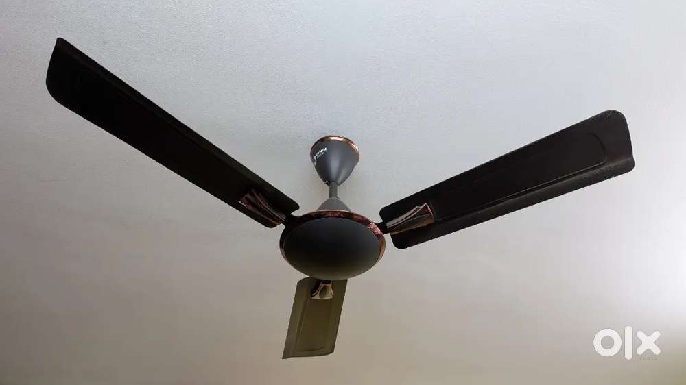 03 nos.Ceiling Fans in Nice working condition