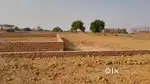 Robseganj sant pilaram degree College FCI Godam ke pass plant le