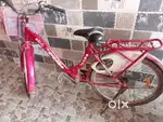 lady Bird , 2020 model, girls cycle, pink