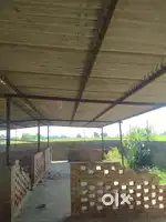 Shad for rent and sale