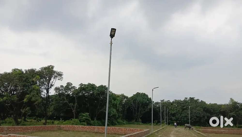 सेना के जावानो के लिए रजिस्ट्री फ्री