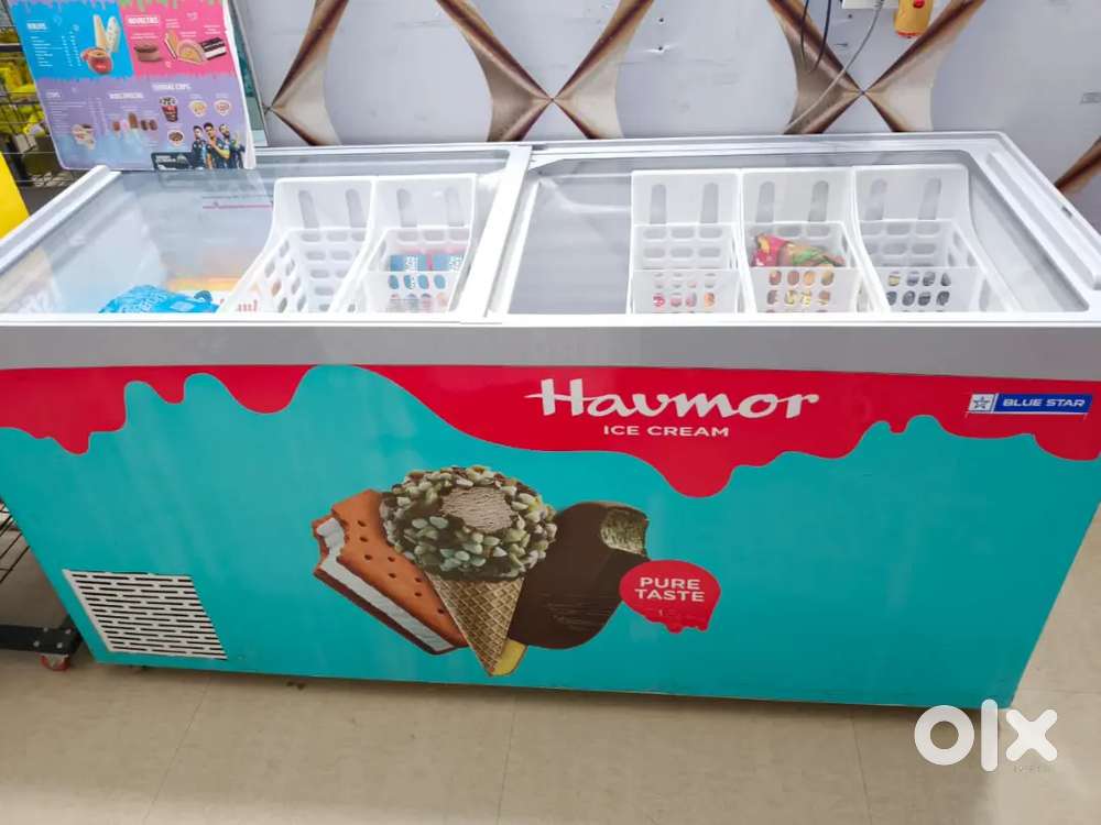 Bluestar Deep Freezer