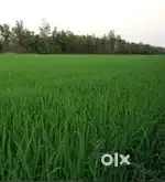 Main road ka plot