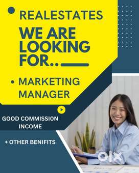 BUSINESS DEVELOPMENT MANAGER WANTED TO LEADING REAL ESTATE OFFICE