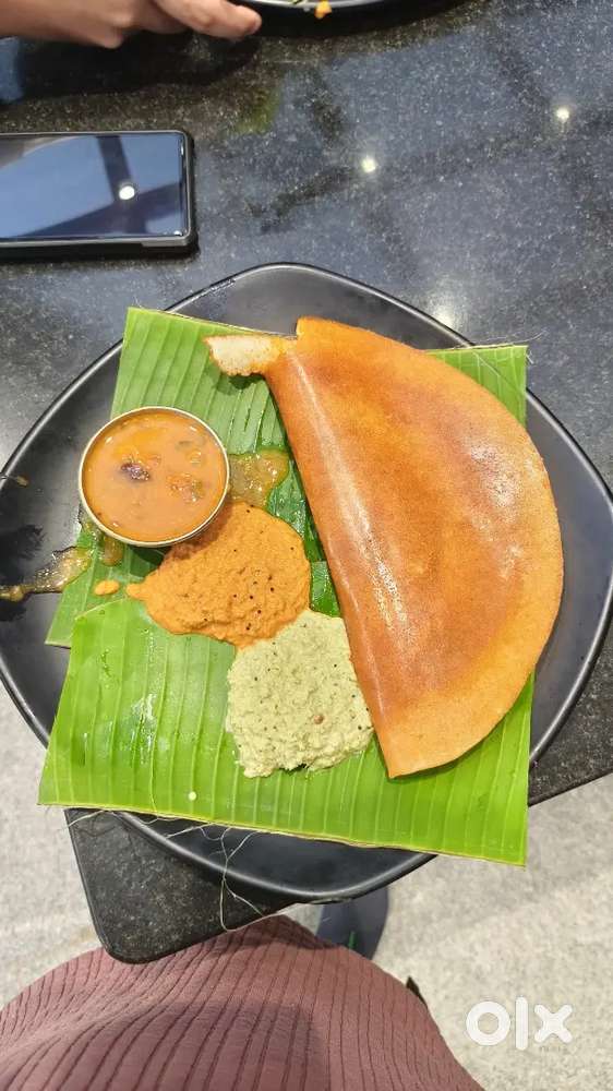 Restaurant south indian chef  Dosa chef