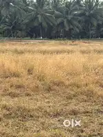 Land / Agricultural land