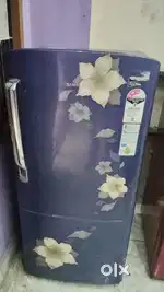 All make fridge monthly rental basics available