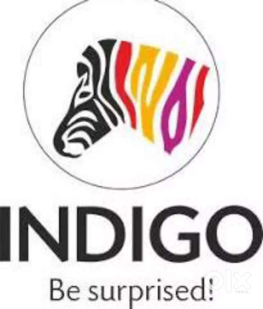Indigo paints need loading & unloading staff