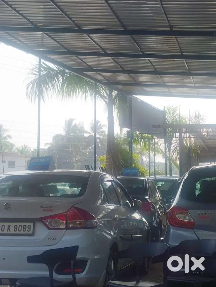 Need a digital content creator