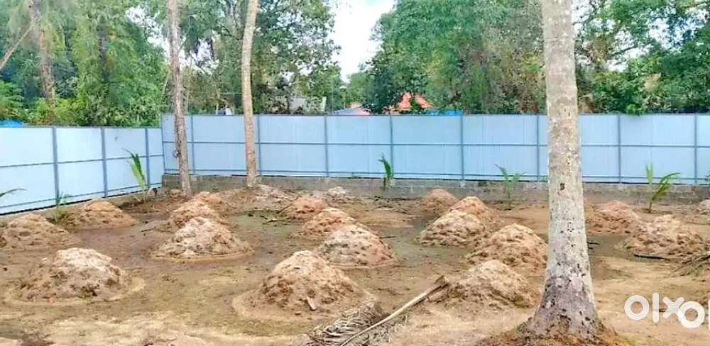 8 cent plot Cherthala railway station കിഴക്കുവശം