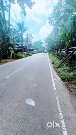 Ranni - Theeyaadikkal Road -  33 Cent Plot For Sale - Main Road 100 Mr