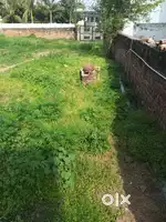 4 Biswa Plot for sale