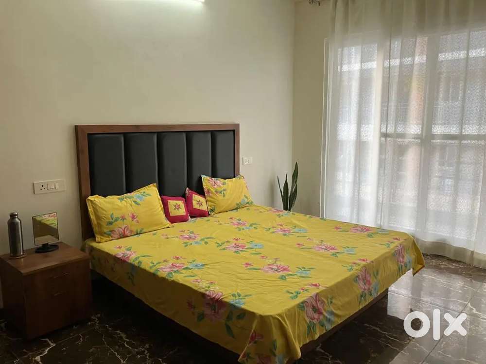 Near it park Rajeshwar Nagar phase 2 (3 bhk fully furnished)