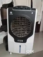 6 months old cooler