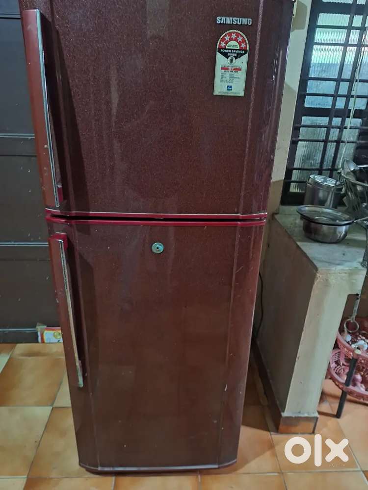 Fridge double door