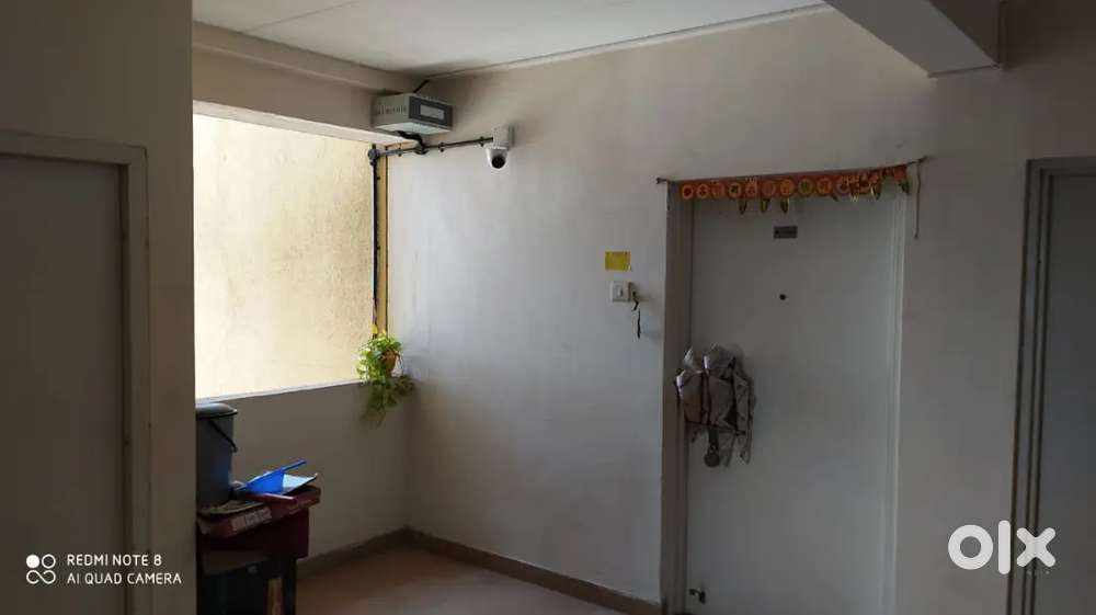 1BHK Flat For Rent