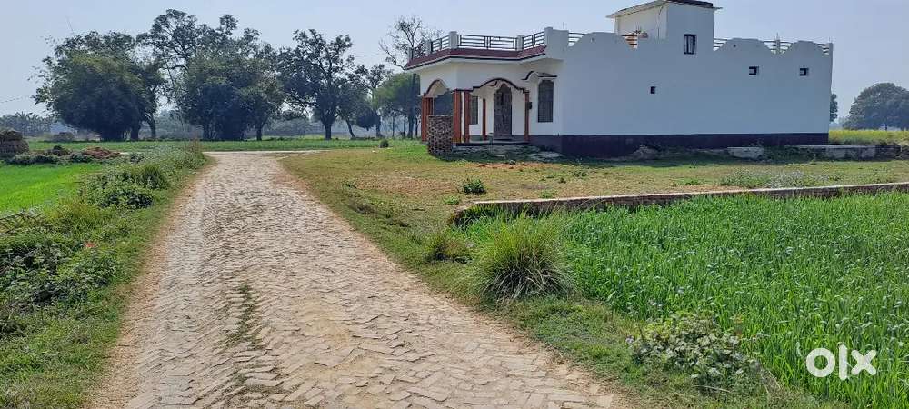 Ek 18 bissa hai ek 28 bissa hai 6 bissa hai aur 10 bissa hai