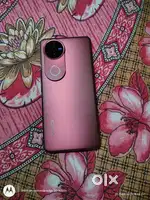 Vivo v50 8gb 256 gb