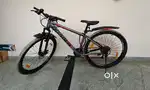 Hercules Roadeo Fugitive Cycle 29”