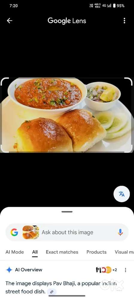 Chat, pav bhaji, panipuri master
