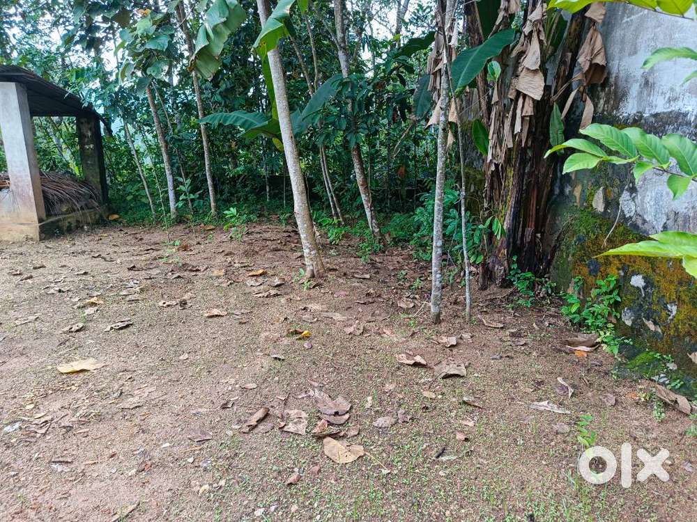 House Plot for  Sale  in Adoor