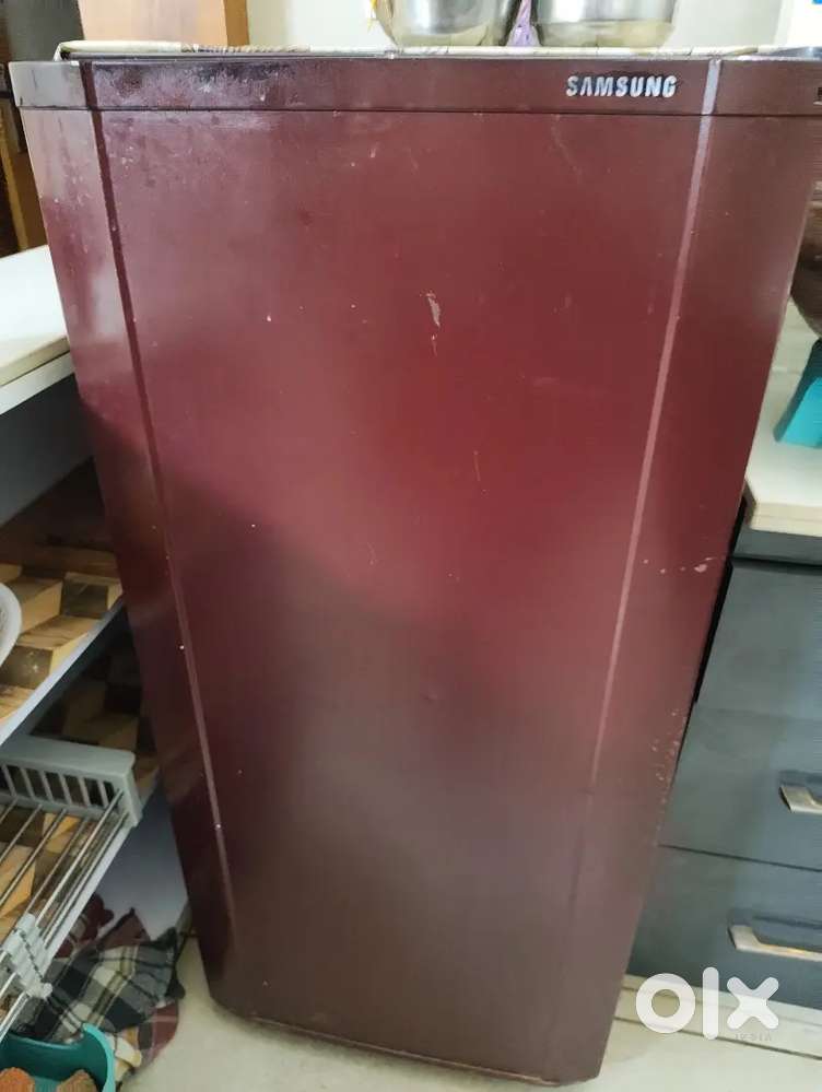 Samsung Fridge only 4500
