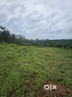 12 cent Housing Plot at vellora kuttur