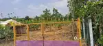 Agriculture Land