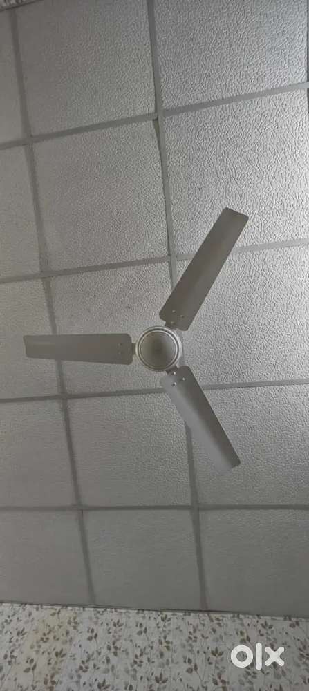 Ceiling fan (white)