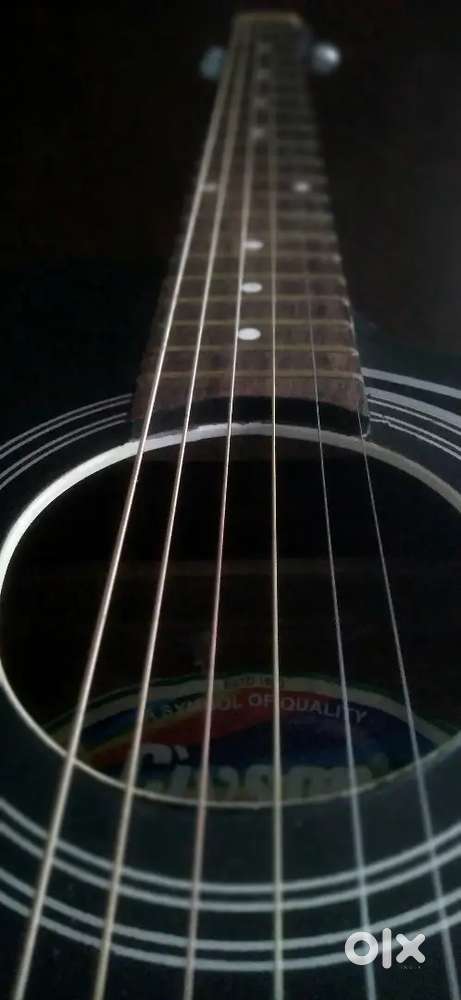 Givson Venus Special