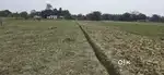 Fully myadi Patta plot available at kokoratoli devlopment area
