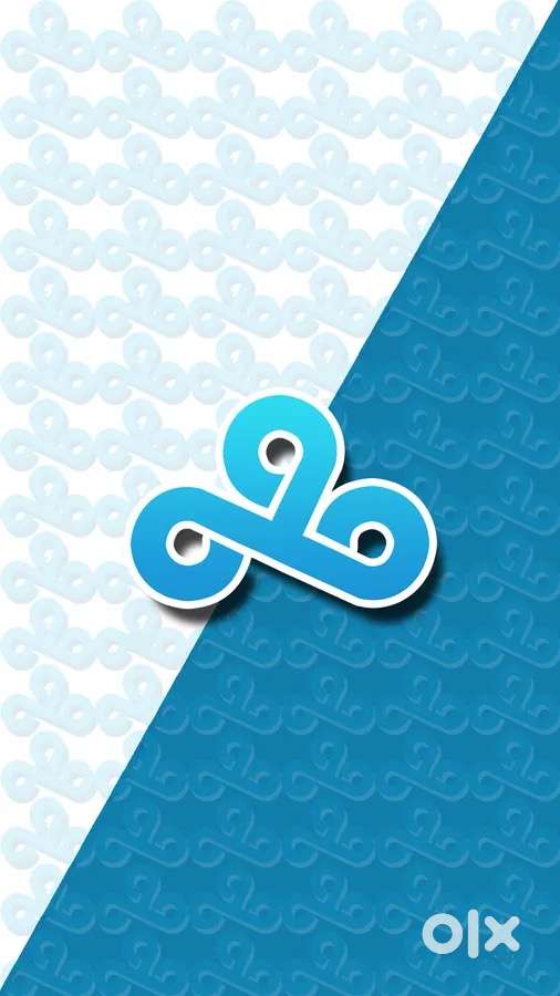 Tele service executive