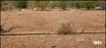 North facing CC plot sale @ Concord layout Suthagatti
