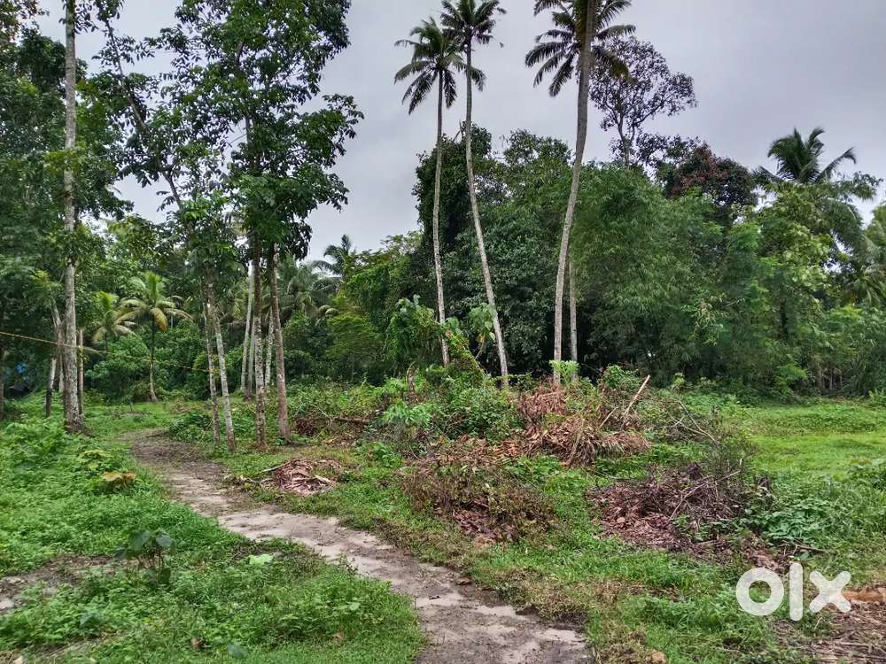 This plot is near to the military canteen chennithala