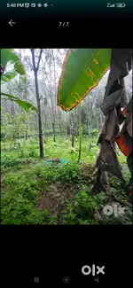 Land for sale in Seethathode, Pathanamthitta