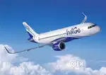 Indigo Airlines and Air India have started recruitment, urgent hiring