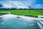 Paddy side Pool villa  in Kakkanad