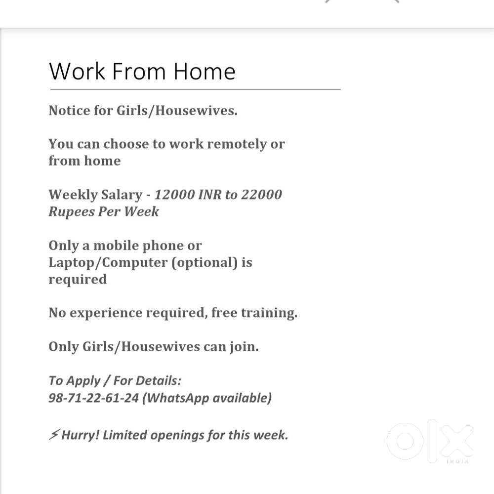 Online Work From Home