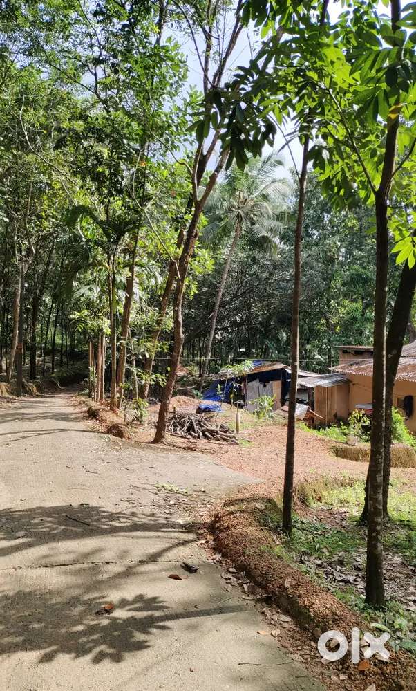 30 cent Housing plot