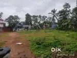Land for rent / lease MC road 50 Cents at Vengoor, Angamay, Ernakulam