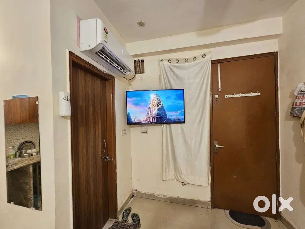 Need female girl roommate for furnish flat room rent sharing pg sec 17