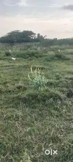 CMDA APPROVAL PLOT FOR SALE