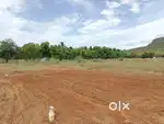 House land Sale