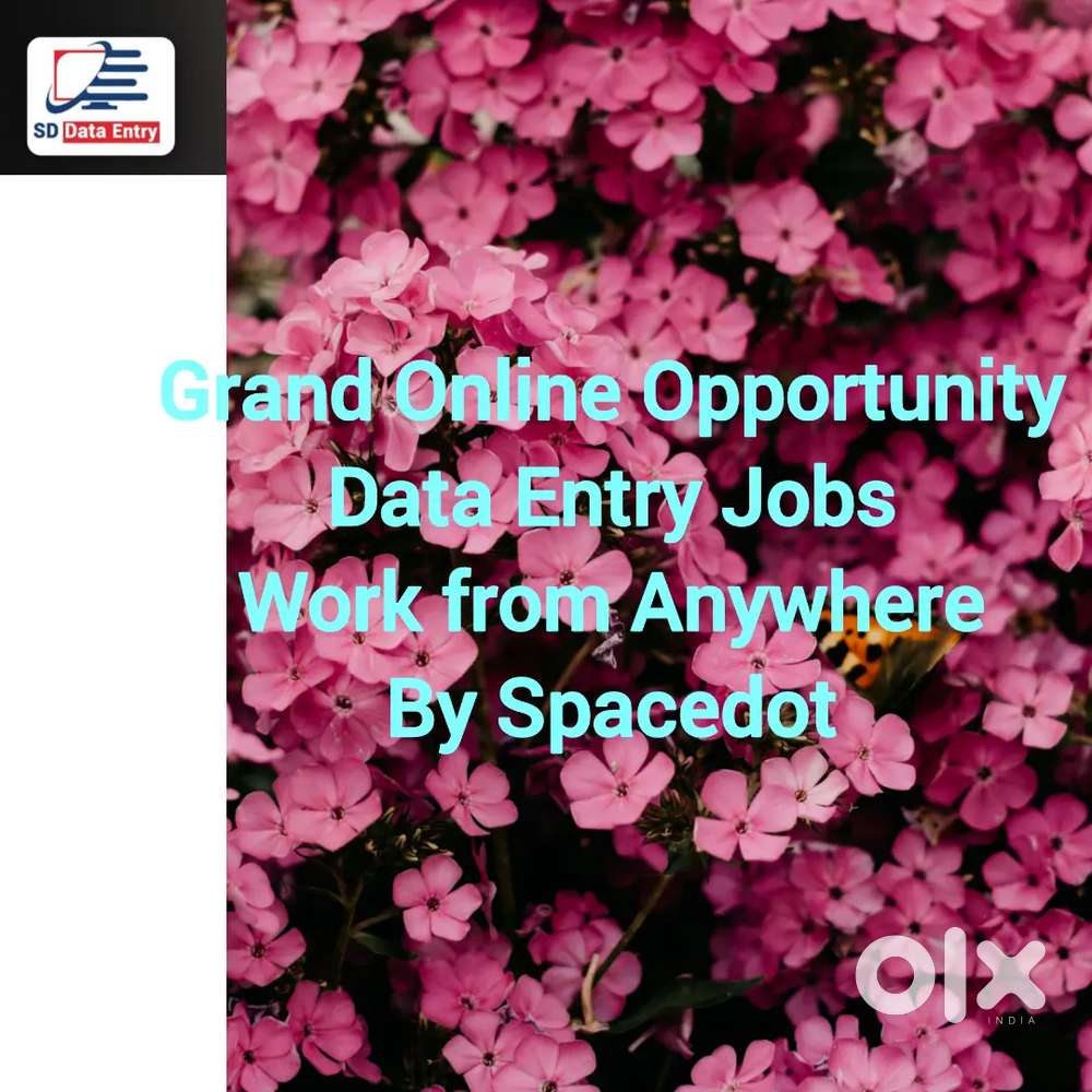 Real Opportunity Data Entry