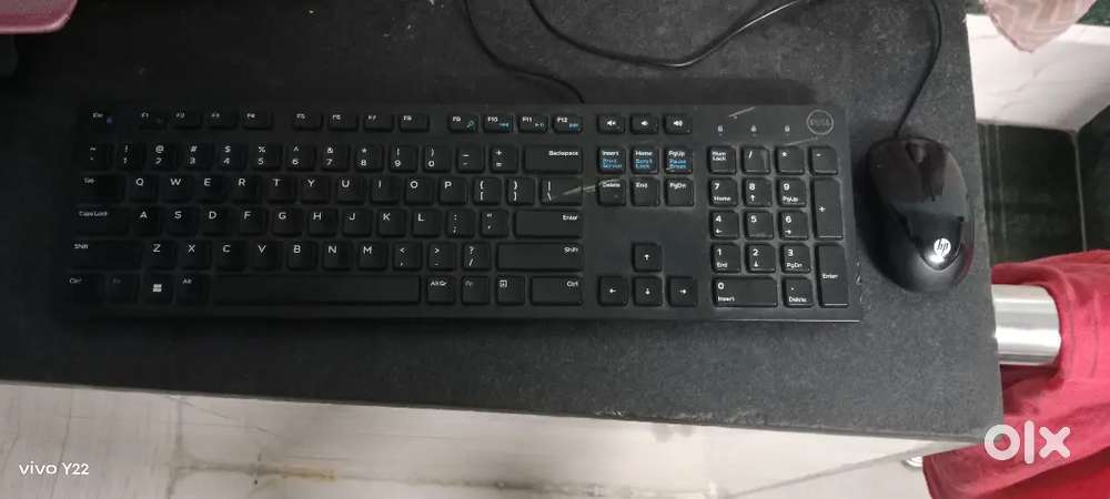 Keyboard and mouse
