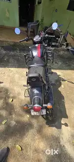 Classic 350 3 year old