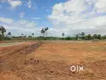Dtcp approved plots for sale @ tirunelveli suthamalli