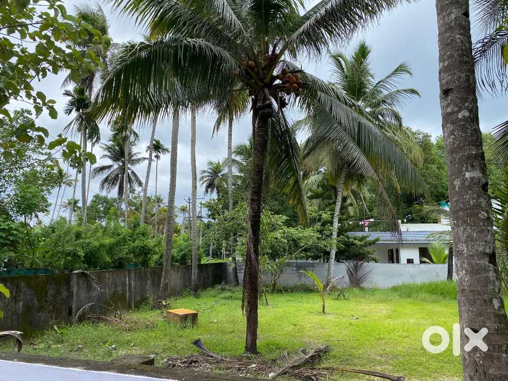 7cent plot for sale near Vallikavu