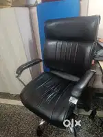 Director Chair